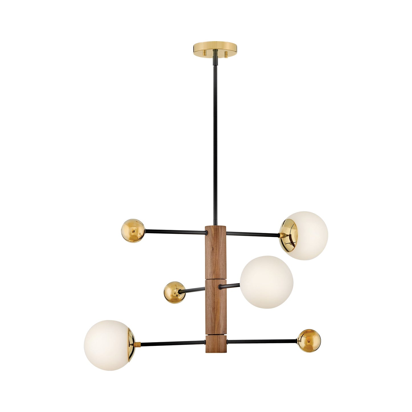 Auggie Chandelier in Bright Brass.