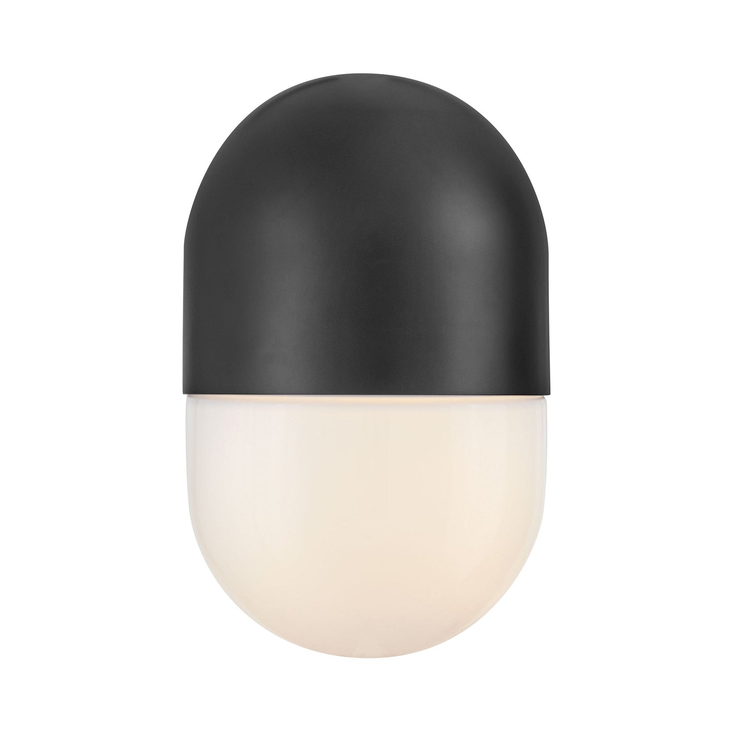 Bardi Outdoor Wall Light in Detail.