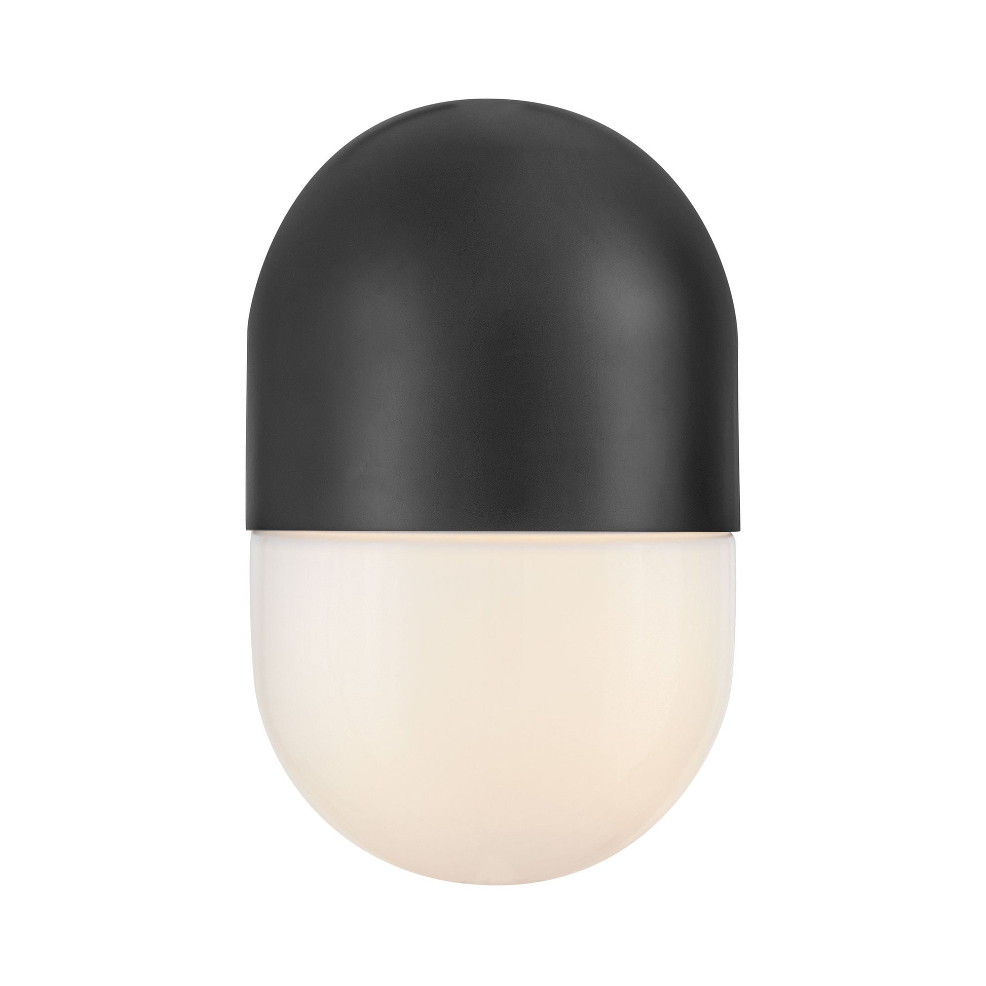 Bardi Outdoor Wall Light in Detail.
