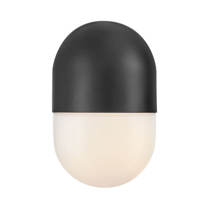 Bardi Outdoor Wall Light in Detail.