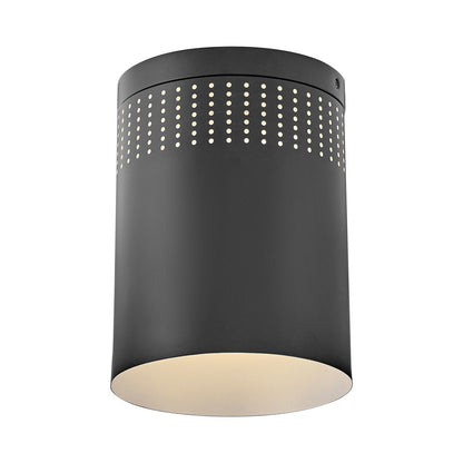 Casey Flush Mount Ceiling Light in Detail.