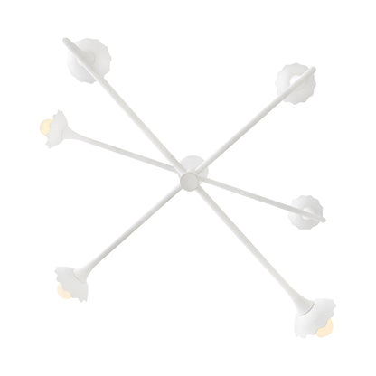 Darla Chandelier in Detail.