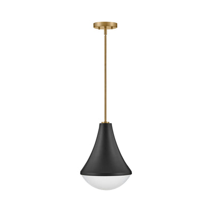 Haddie Pendant Light in Black.