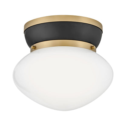 Lucy Flush Mount Ceiling Light in Detail.