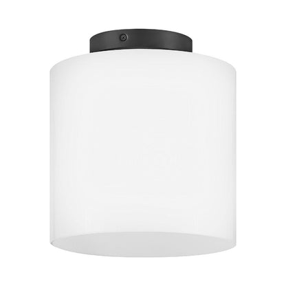 Pippa Flush Mount Ceiling Light.