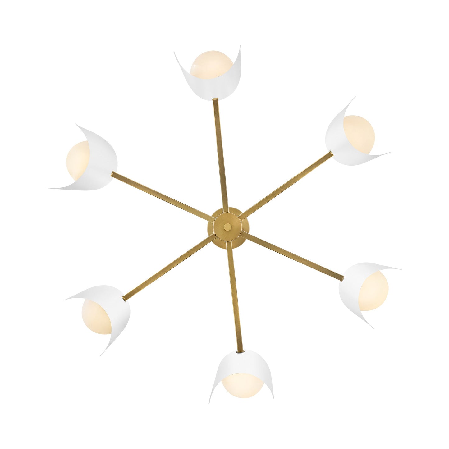 Zuri Chandelier in Detail.