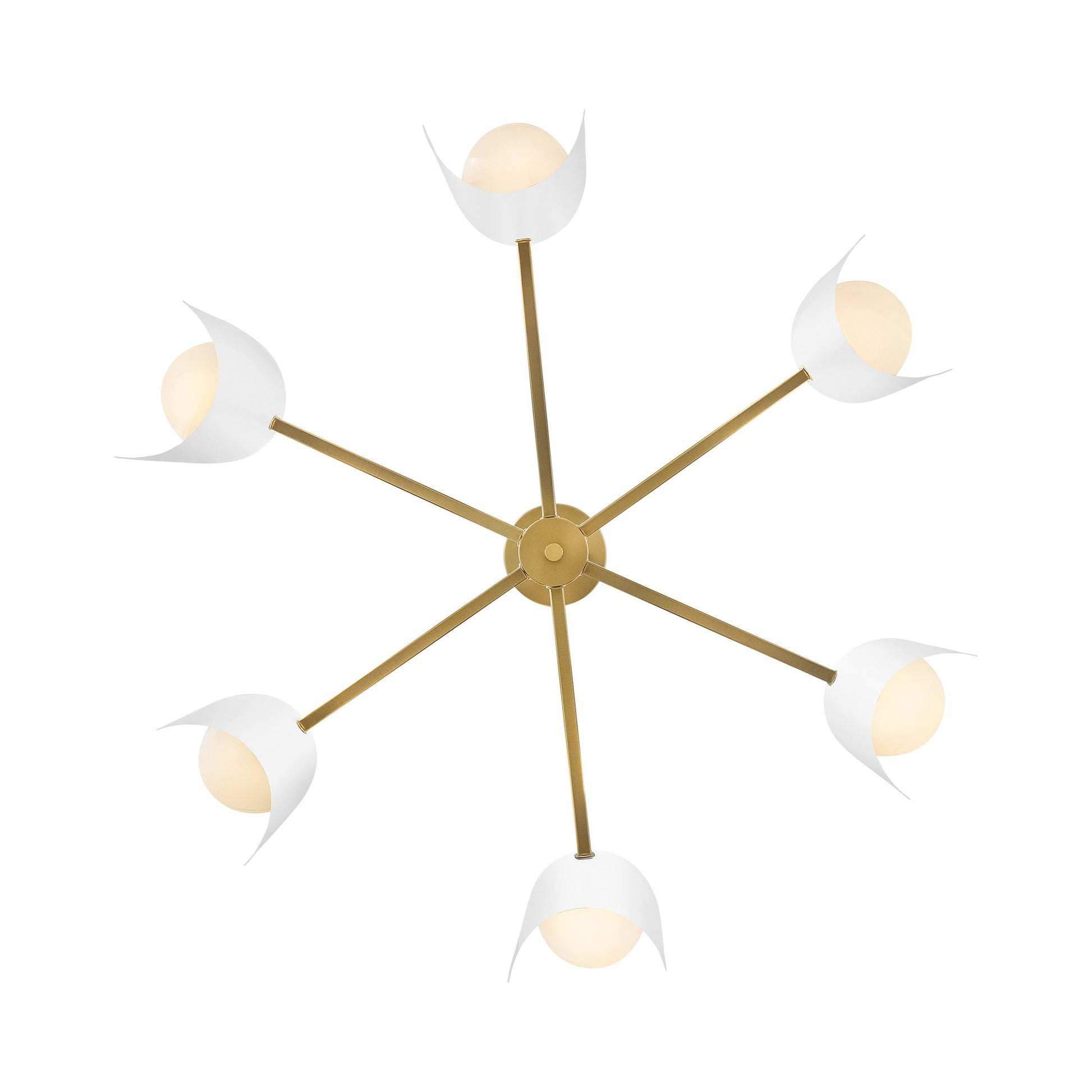 Zuri Chandelier in Detail.