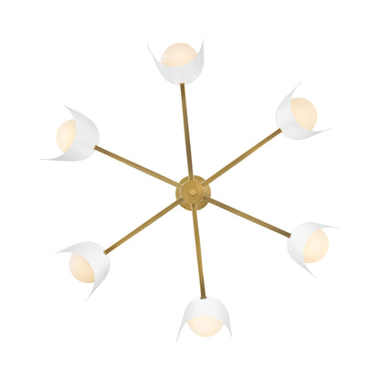 Zuri Chandelier in Detail.