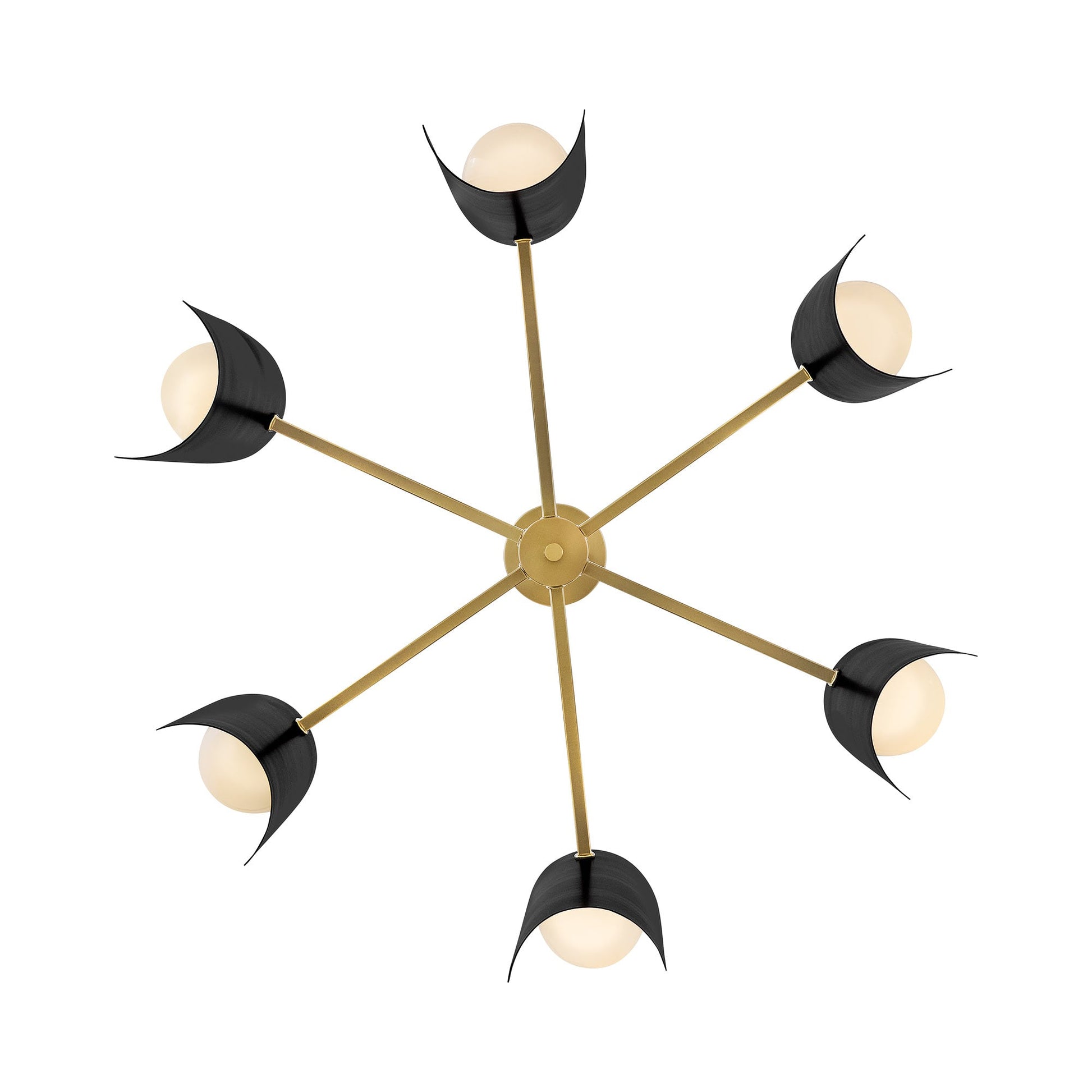 Zuri Chandelier in Detail.