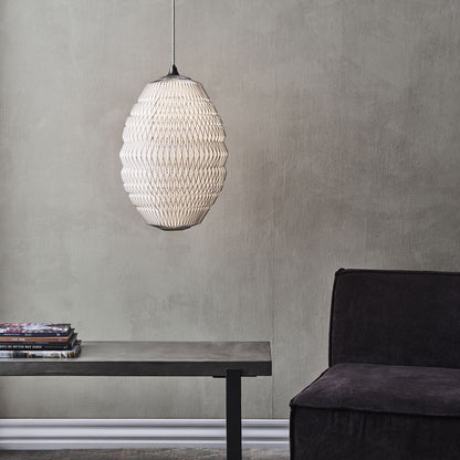 Caleo Pendant Light in living room.