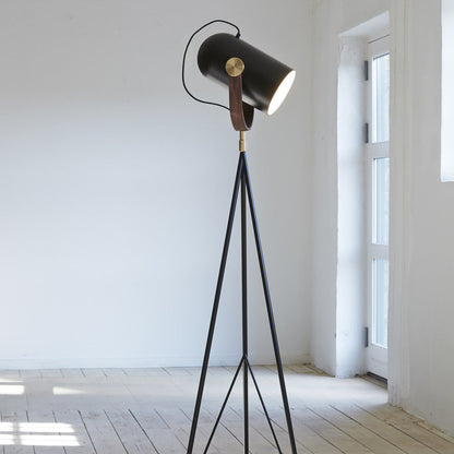 Carronade Floor Lamp in living room.