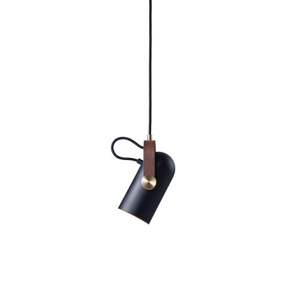 Carronade Spot Pendant Light.
