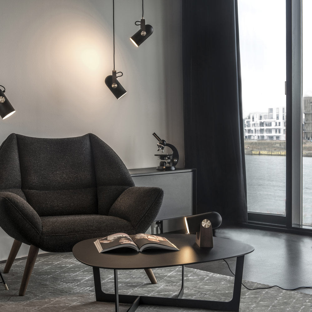 Carronade Spot Pendant Light in living room.