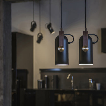 Carronade Spot Pendant Light in living room.