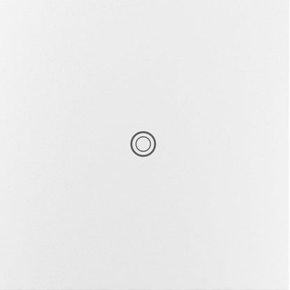 Adorne Smart Switch in Detail.