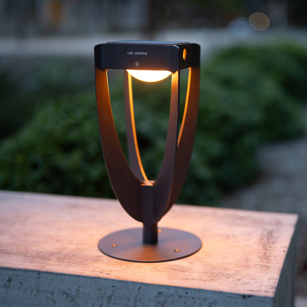 Tulip Outdoor Solar LED Pathway Light in Outside Area.