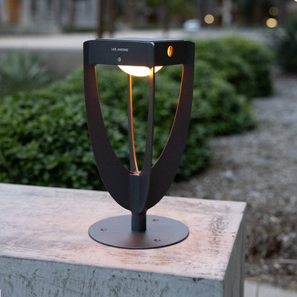 Tulip Outdoor Solar LED Pathway Light in Outside Area.