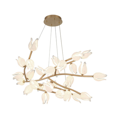 Belluno LED Chandelier in Detail.