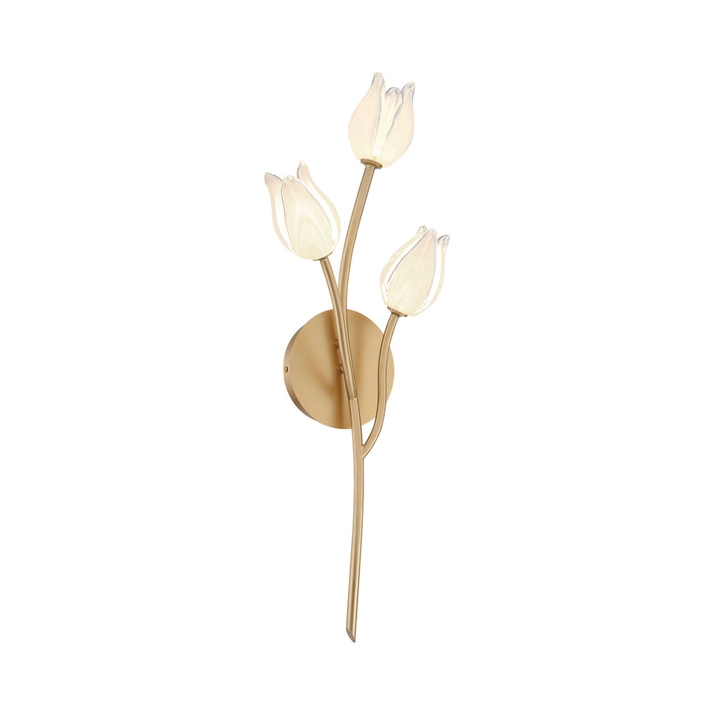 Belluno LED Wall Light in Detail.