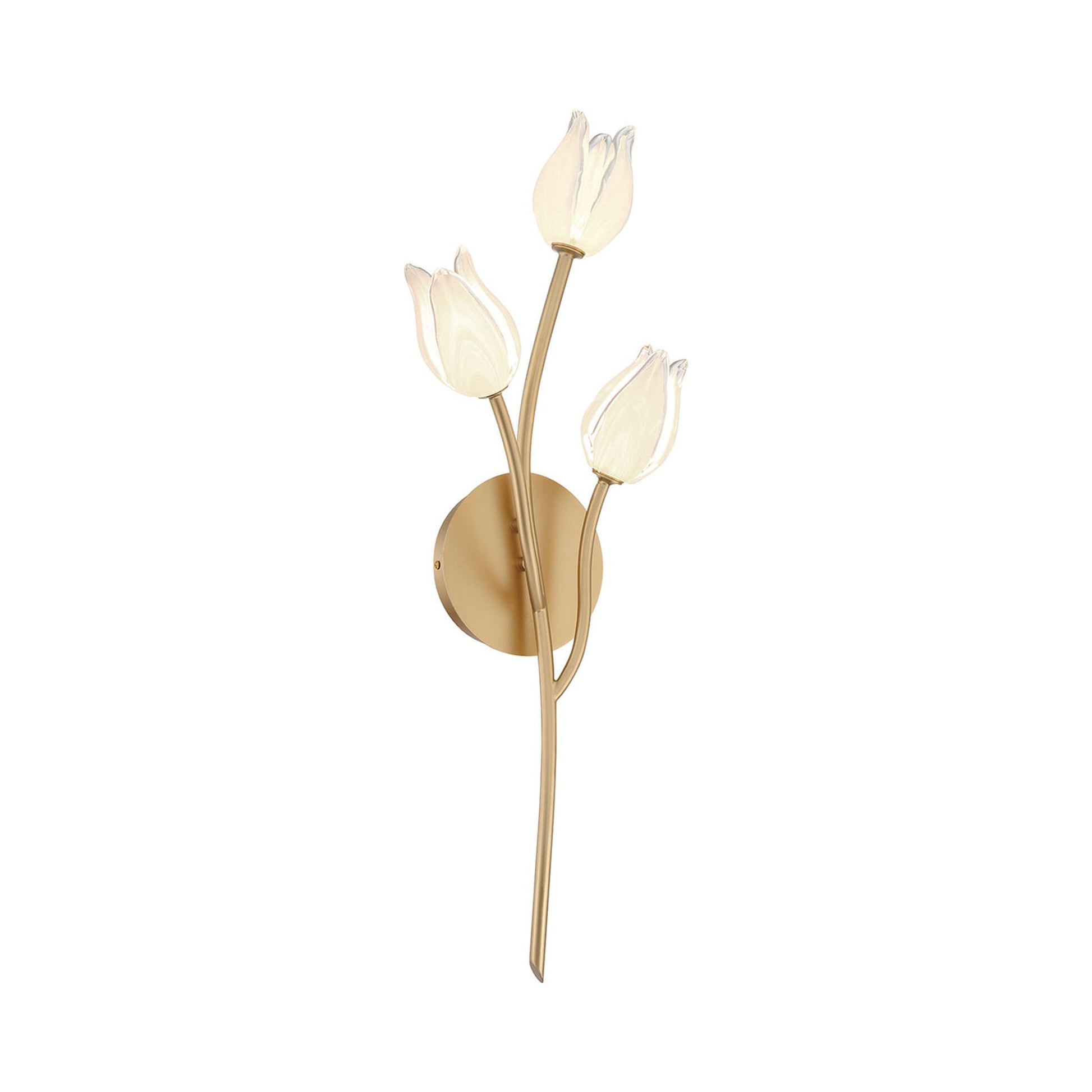 Belluno LED Wall Light in Detail.