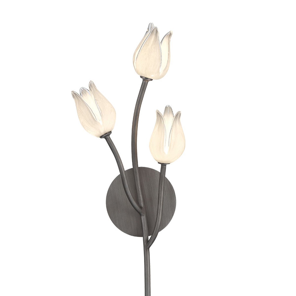 Belluno LED Wall Light in Detail.