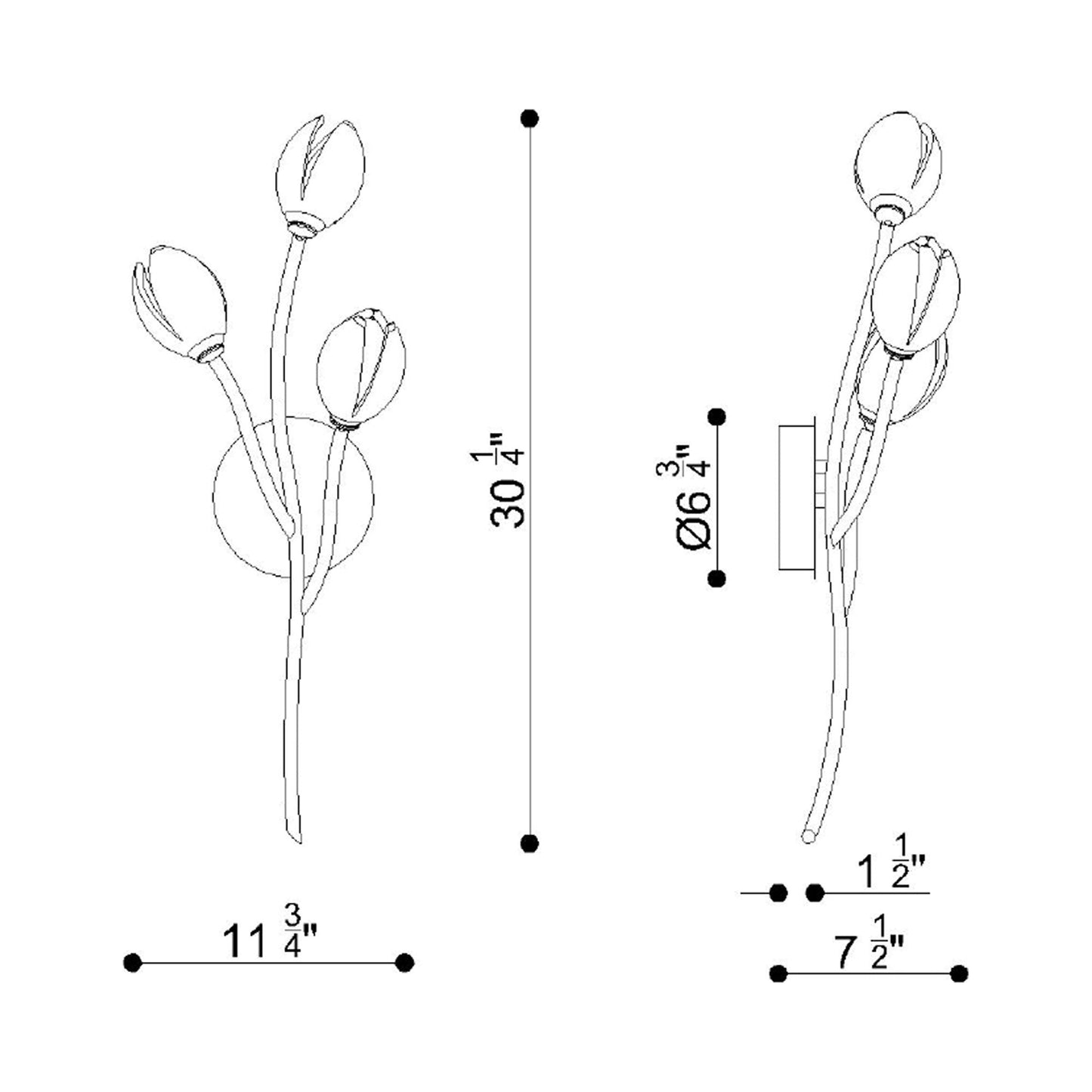 Belluno LED Wall Light - line drawing.