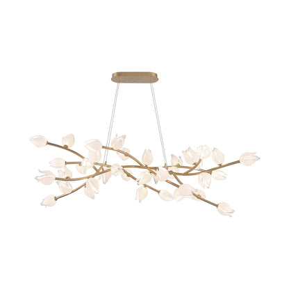 Belluno Oval LED Chandelier in Champagne Gold (37-Light).