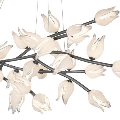 Belluno Oval LED Chandelier in Detail.