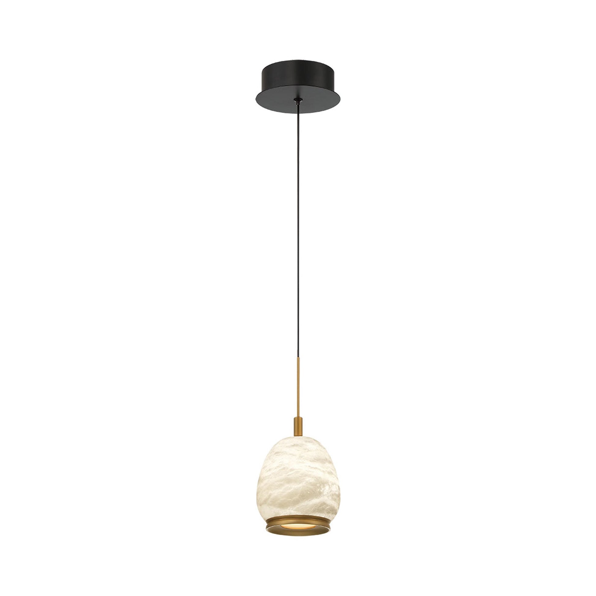 Lucidata LED Pendant Light in Matte Black.