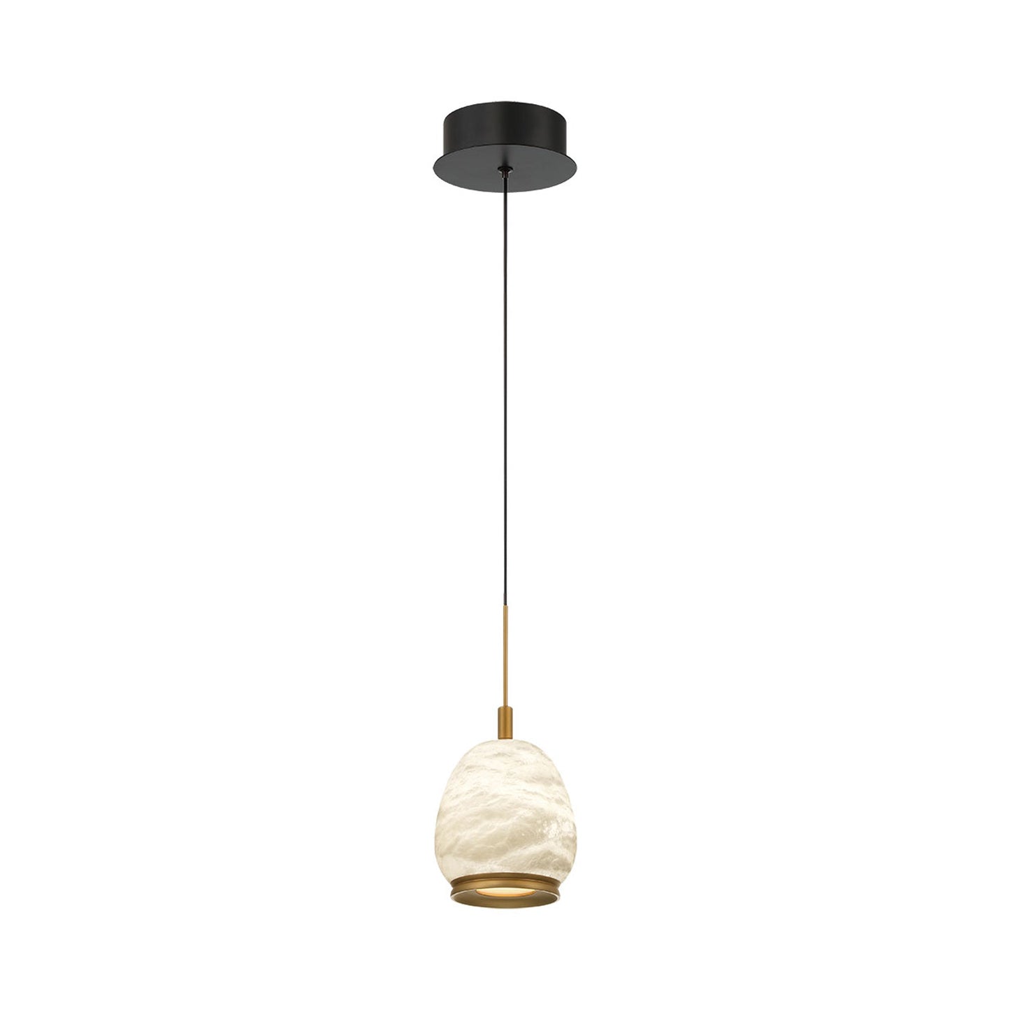 Lucidata LED Pendant Light.