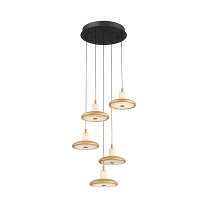 Mantova Multi Light LED Pendant Light in Matte Black (5-Light).