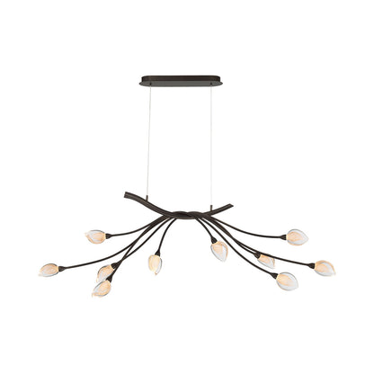 Modena Oval LED Chandelier (10-Light).