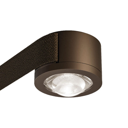 Map Start Point Ceiling in Natural Brown/Lodes Beam.