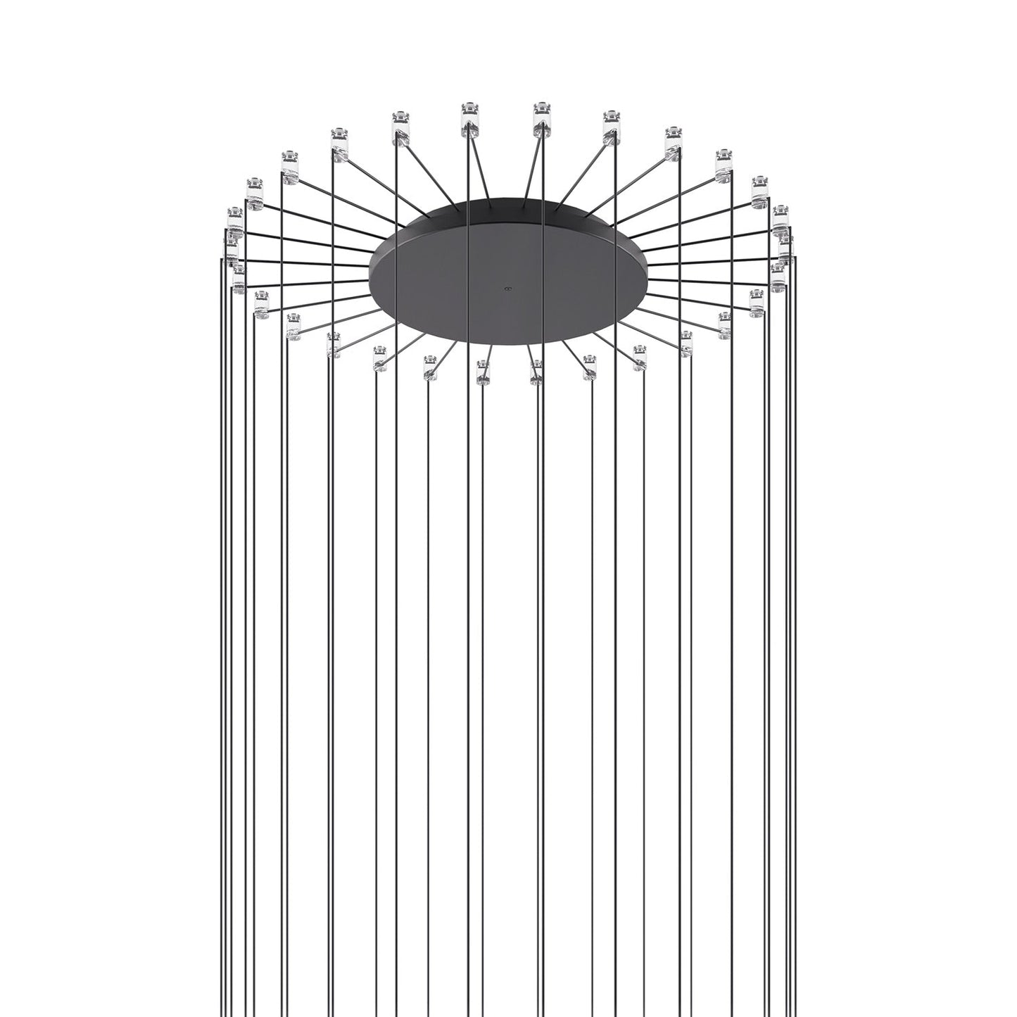 Radial Canopy in Matte Black (28-Light).
