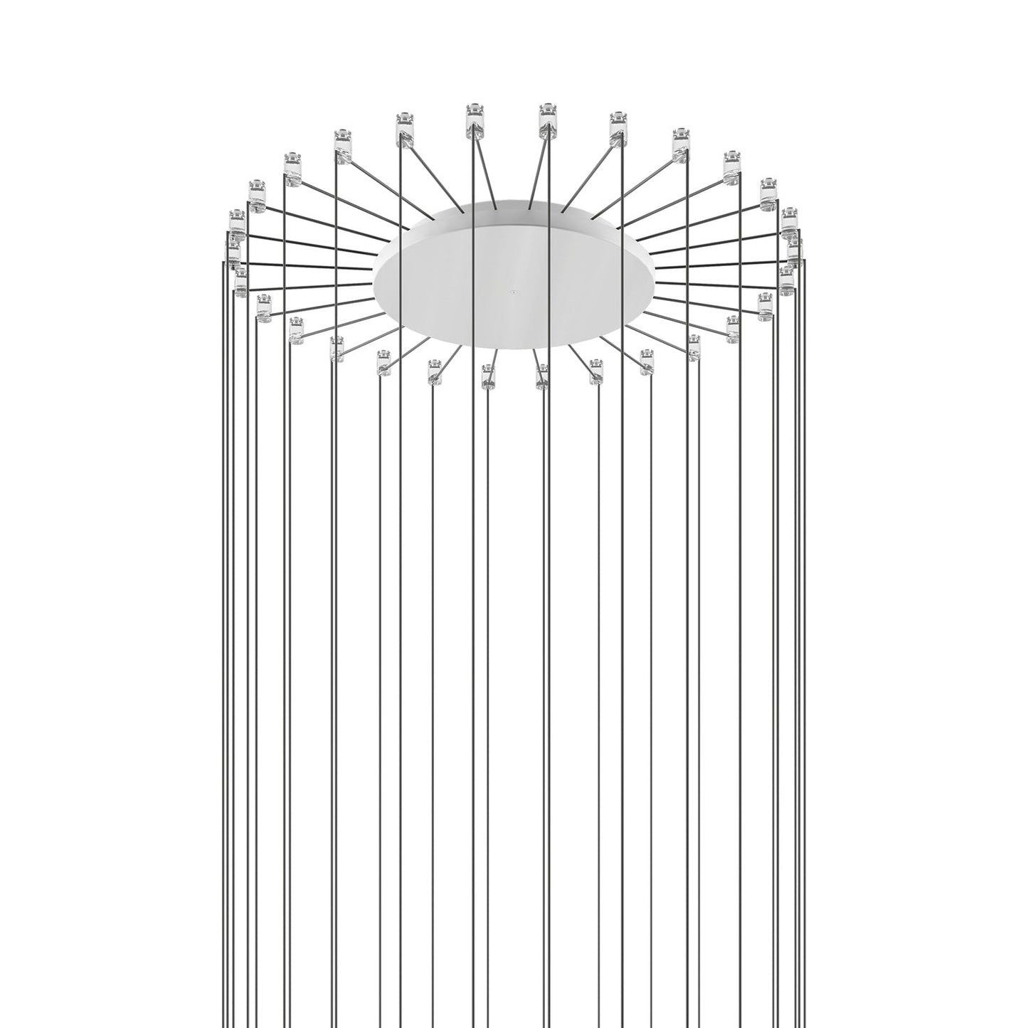Radial Canopy in Matte White (28-Light).