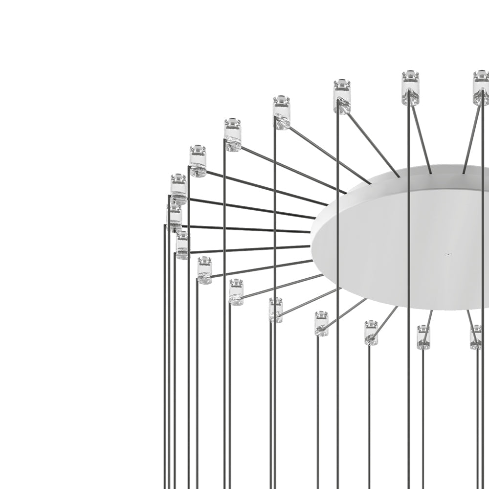 Radial Canopy in Detail.