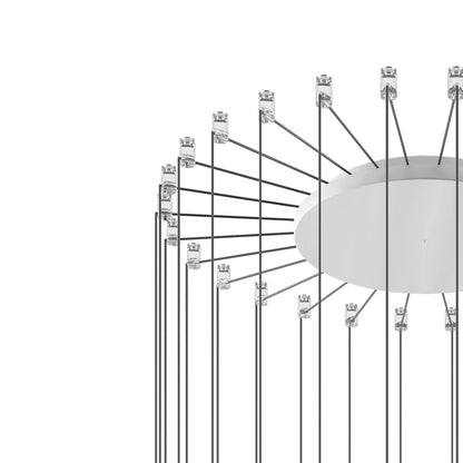 Radial Canopy in Detail.