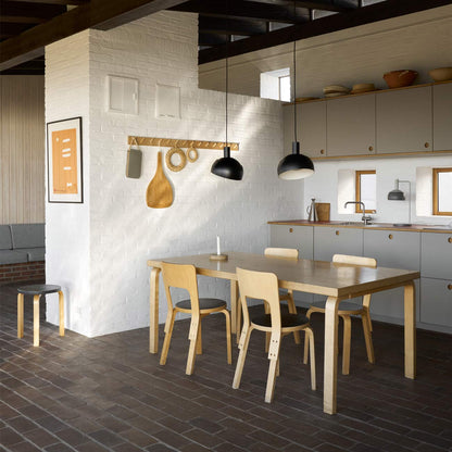 FJ Elements Pendant Light in dinning room.