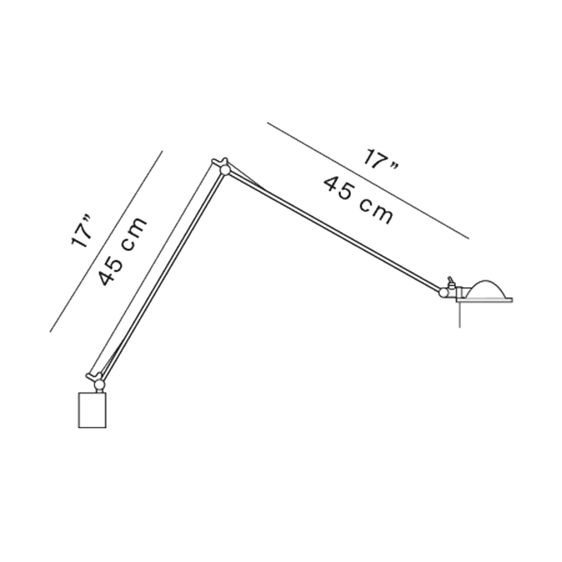 Berenice Wall Light - line drawing.