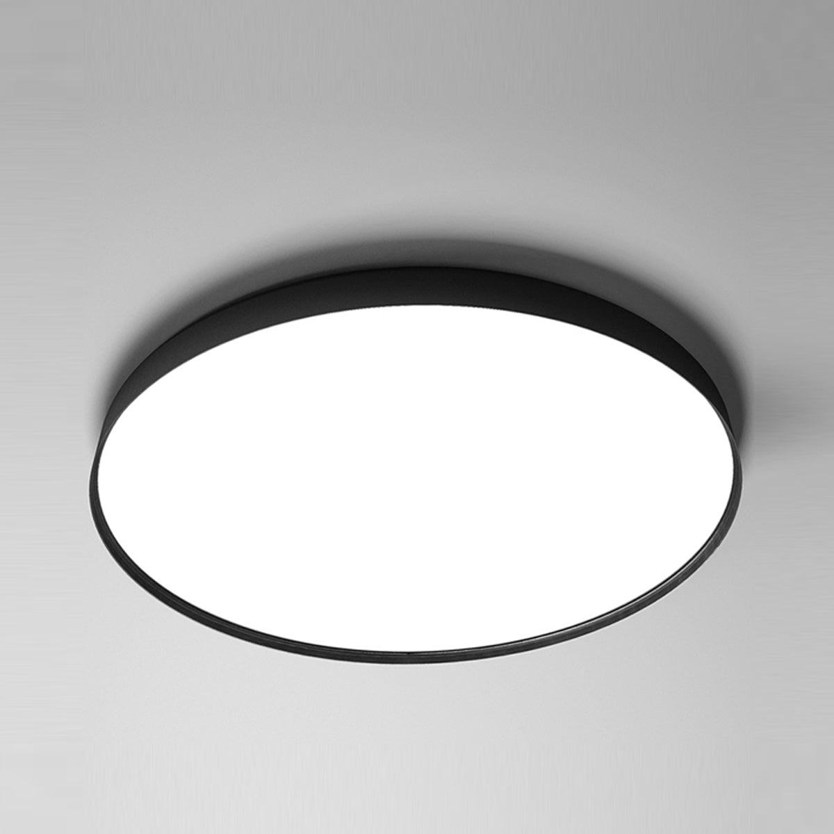 Compendium Ceiling/Wall Light in Black.