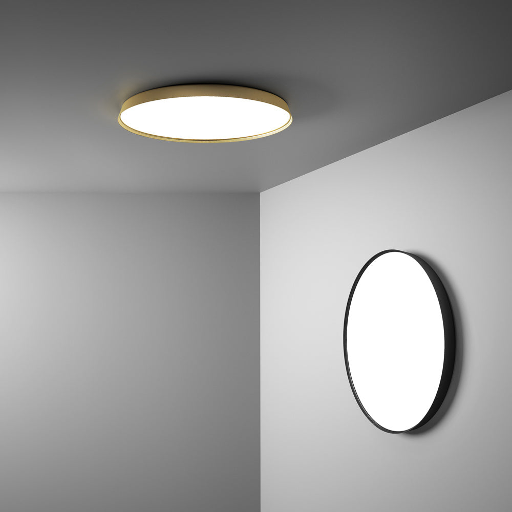 Compendium Ceiling/Wall Light in living room.
