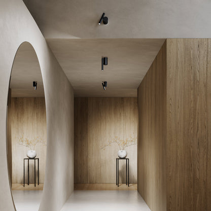 Doi LED Ceiling / Wall Light in hallway.