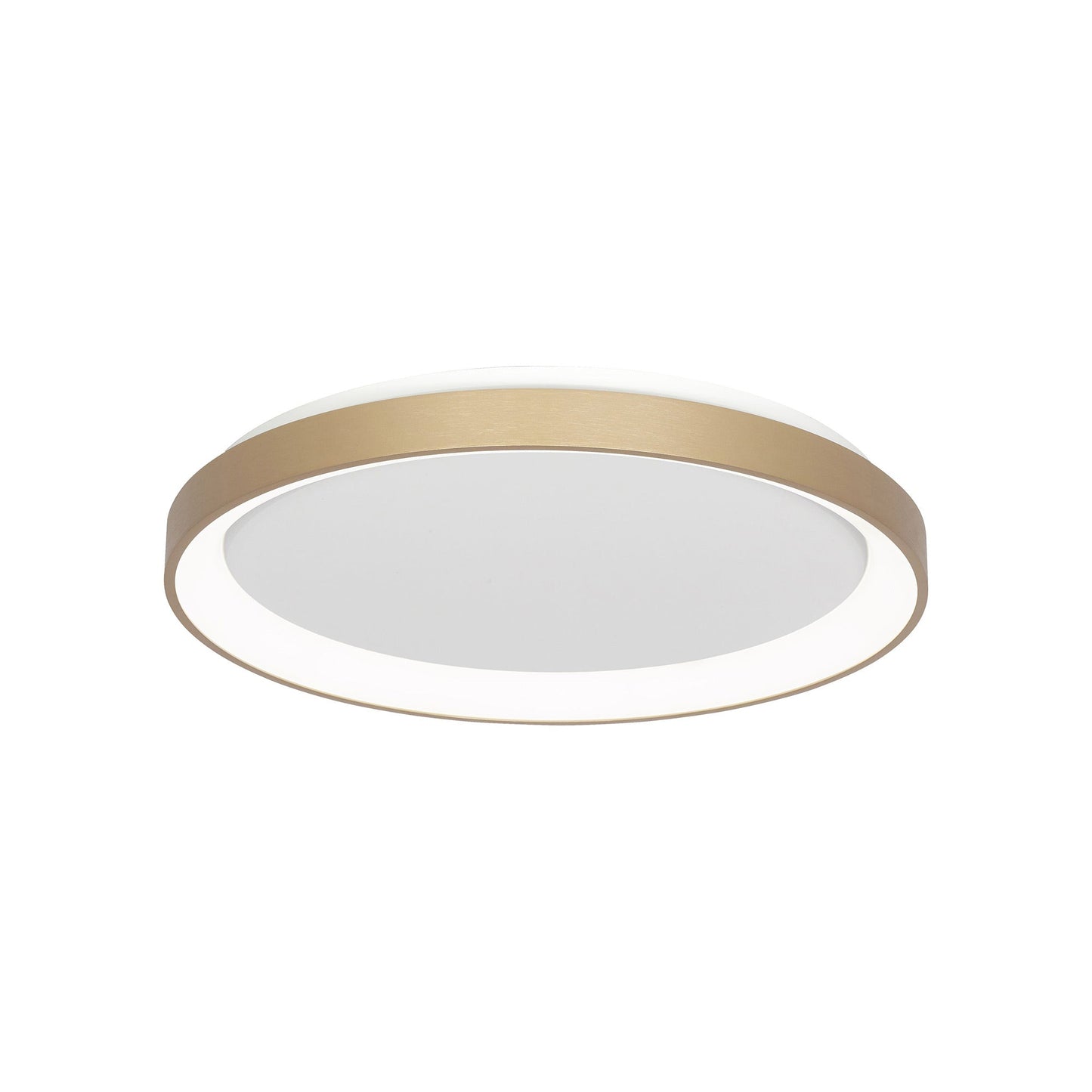 Alaska LED Flush Mount Ceiling Light in Brushed Gold (19-Inch).