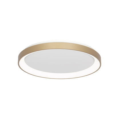 Alaska LED Flush Mount Ceiling Light in Brushed Gold (19-Inch).