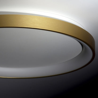 Alaska LED Flush Mount Ceiling Light in Detail.