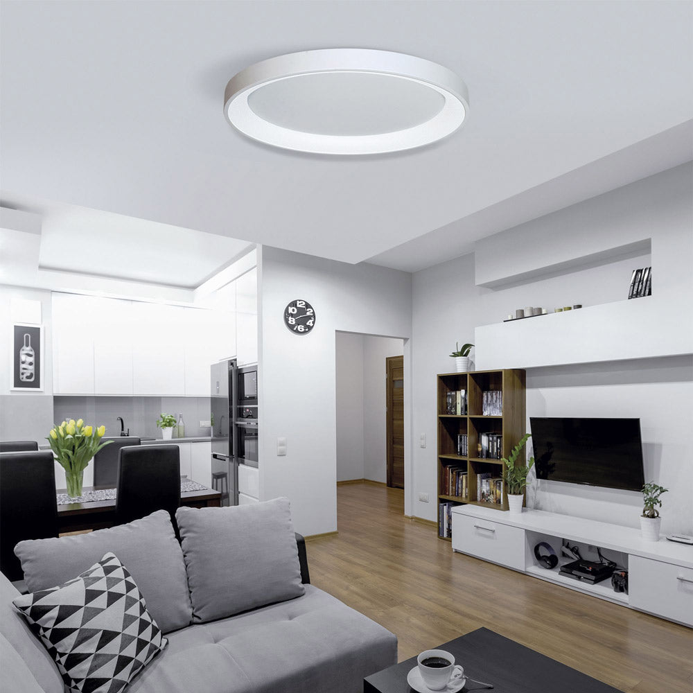 Alaska LED Flush Mount Ceiling Light in living room.