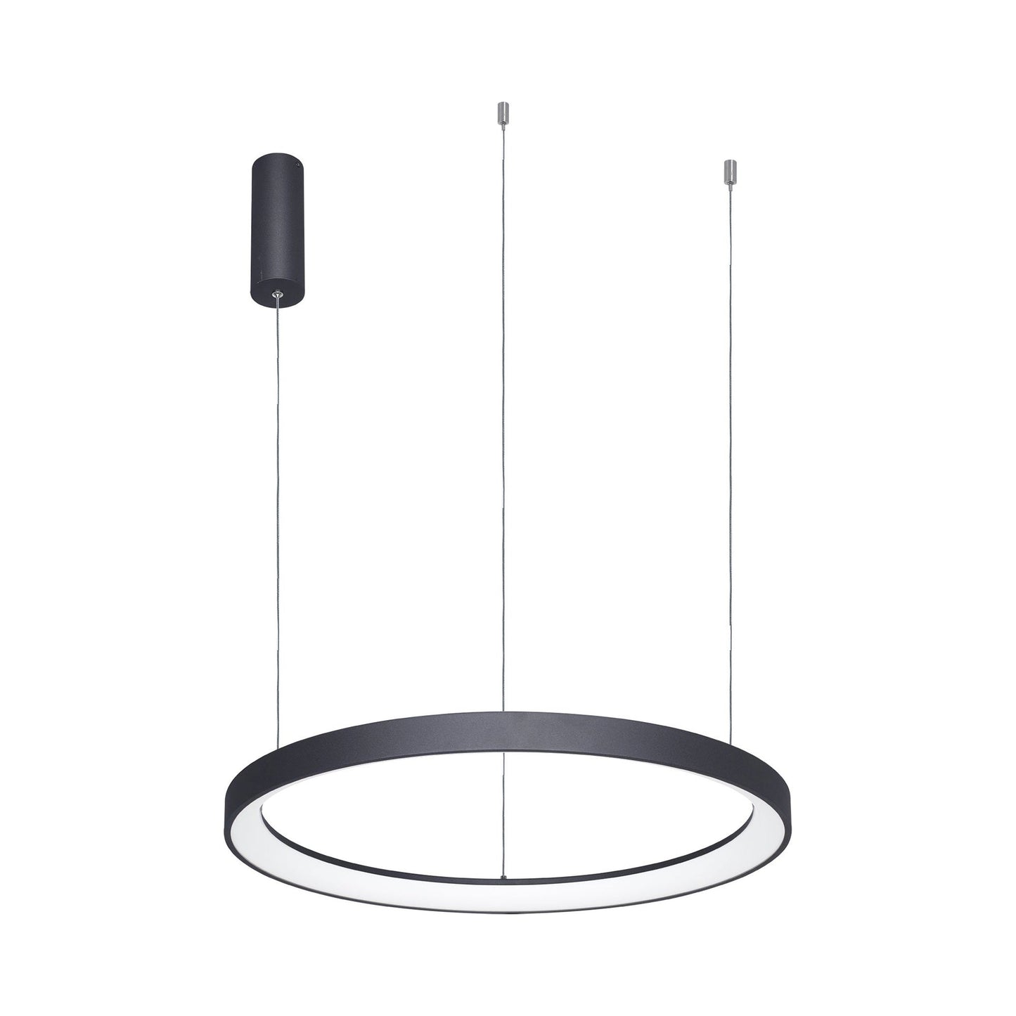 Alaska Ring LED Pendant Light.