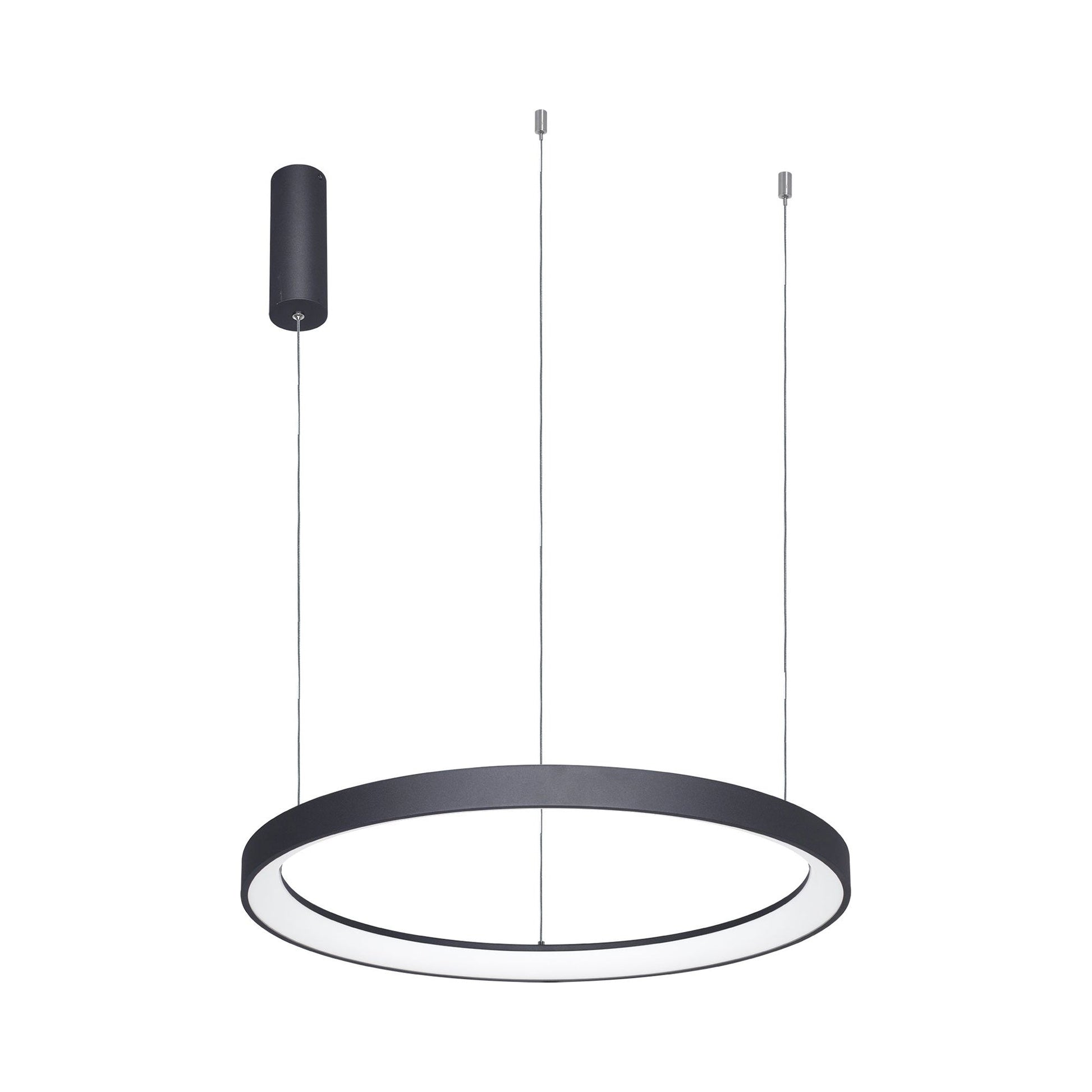 Alaska Ring LED Pendant Light.