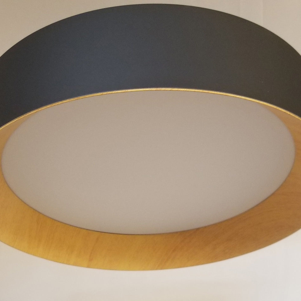 Barcelona LED Flush Mount Ceiling Light in Detail.