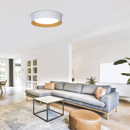 Barcelona LED Flush Mount Ceiling Light in living room.